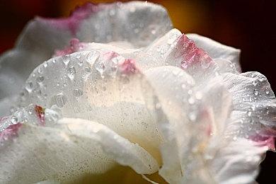 怀旧像素RPG《8位冒险2》确定同步发售主机版本